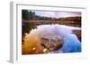 Rock in a Pond, Acadia National Park, Maine-George Oze-Framed Photographic Print