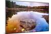 Rock in a Pond, Acadia National Park, Maine-George Oze-Mounted Photographic Print