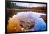 Rock in a Pond, Acadia National Park, Maine-George Oze-Framed Photographic Print