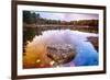 Rock in a Pond, Acadia National Park, Maine-George Oze-Framed Photographic Print