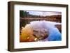 Rock in a Pond, Acadia National Park, Maine-George Oze-Framed Photographic Print