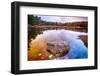 Rock in a Pond, Acadia National Park, Maine-George Oze-Framed Photographic Print