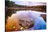 Rock in a Pond, Acadia National Park, Maine-George Oze-Stretched Canvas