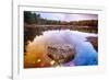 Rock in a Pond, Acadia National Park, Maine-George Oze-Framed Photographic Print