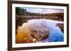 Rock in a Pond, Acadia National Park, Maine-George Oze-Framed Photographic Print