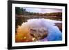 Rock in a Pond, Acadia National Park, Maine-George Oze-Framed Photographic Print