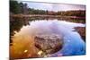 Rock in a Pond, Acadia National Park, Maine-George Oze-Mounted Photographic Print
