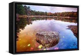 Rock in a Pond, Acadia National Park, Maine-George Oze-Framed Stretched Canvas