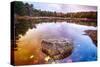 Rock in a Pond, Acadia National Park, Maine-George Oze-Stretched Canvas