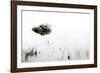 Rock in the Water-Steve Gadomski-Framed Photographic Print