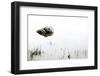 Rock in the Water-Steve Gadomski-Framed Photographic Print