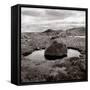 Rock in water at coast (black nad white)-Mika-Framed Stretched Canvas