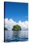 Rock Islands, Palau, Central Pacific-Michael Runkel-Stretched Canvas