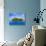 Rock Islands, Republic of Palau, Pacific-Nico Tondini-Stretched Canvas displayed on a wall