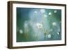 Rock Jasmine-Jacky Parker-Framed Premium Giclee Print