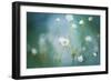 Rock Jasmine-Jacky Parker-Framed Giclee Print