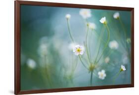 Rock Jasmine-Jacky Parker-Framed Giclee Print