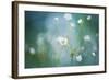 Rock Jasmine-Jacky Parker-Framed Giclee Print