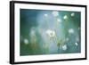 Rock Jasmine-Jacky Parker-Framed Giclee Print