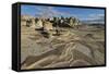 Rock Layers in the Badlands, Bisti Wilderness, New Mexico, United States of America, North America-James Hager-Framed Stretched Canvas