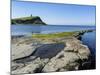 Rock Ledges and Clavell Tower in Kimmeridge Bay, Isle of Purbeck, Jurassic Coast-Roy Rainford-Mounted Photographic Print