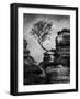 Rock Life-Martin Henson-Framed Photographic Print