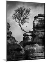 Rock Life-Martin Henson-Mounted Photographic Print