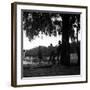 Rock 'n' Roll Dancers on the Square du Vert-Galant, Paris, 1960-Paul Almasy-Framed Giclee Print