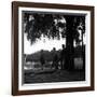 Rock 'n' Roll Dancers on the Square du Vert-Galant, Paris, 1960-Paul Almasy-Framed Giclee Print