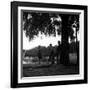 Rock 'n' Roll Dancers on the Square du Vert-Galant, Paris, 1960-Paul Almasy-Framed Giclee Print