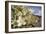 Rock Nettle in Bloom, Death Valley National Park, California-Rob Sheppard-Framed Photographic Print