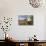 Rock Nettle in Bloom, Death Valley National Park, California-Rob Sheppard-Photographic Print displayed on a wall