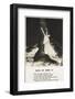 Rock of Ages-null-Framed Photographic Print