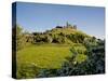 Rock of Cashel, 4Th-12th Century Monastic Stronghold, Cashel, County Tipperary, Ireland-null-Stretched Canvas