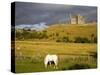 Rock of Cashel, Cashel Town, County Tipperary, Munster, Republic of Ireland, Europe-Richard Cummins-Stretched Canvas