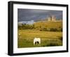 Rock of Cashel, Cashel Town, County Tipperary, Munster, Republic of Ireland, Europe-Richard Cummins-Framed Photographic Print