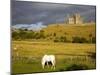 Rock of Cashel, Cashel Town, County Tipperary, Munster, Republic of Ireland, Europe-Richard Cummins-Mounted Photographic Print