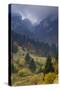 Rock of the King, Piatra Craiului National Park, Transylvania, Carpathian Mountains, Romania-D?rr-Stretched Canvas