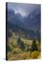 Rock of the King, Piatra Craiului National Park, Transylvania, Carpathian Mountains, Romania-D?rr-Stretched Canvas