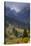 Rock of the King, Piatra Craiului National Park, Transylvania, Carpathian Mountains, Romania-D?rr-Stretched Canvas