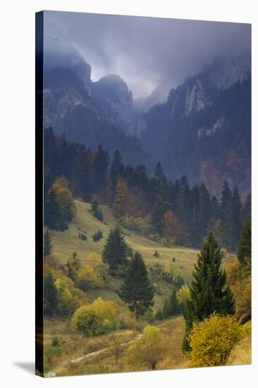 Rock of the King, Piatra Craiului National Park, Transylvania, Carpathian Mountains, Romania-D?rr-Stretched Canvas