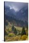 Rock of the King, Piatra Craiului National Park, Transylvania, Carpathian Mountains, Romania-D?rr-Stretched Canvas