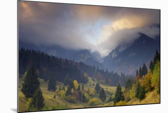 Rock of the King, Piatra Craiului National Park, Transylvania, Carpathian Mountains, Romania-Dörr-Mounted Photographic Print