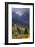 Rock of the King, Piatra Craiului National Park, Transylvania, Carpathian Mountains, Romania-D?rr-Framed Photographic Print