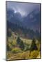 Rock of the King, Piatra Craiului National Park, Transylvania, Carpathian Mountains, Romania-D?rr-Mounted Photographic Print