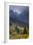 Rock of the King, Piatra Craiului National Park, Transylvania, Carpathian Mountains, Romania-D?rr-Framed Photographic Print