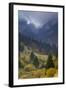 Rock of the King, Piatra Craiului National Park, Transylvania, Carpathian Mountains, Romania-D?rr-Framed Photographic Print