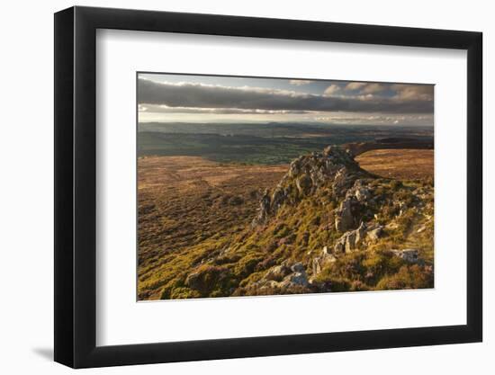 Rock Outcrop Formed of Ordovician Quartzite, Stiperstones Ridge, Stiperstones Nnr, Shropshire, UK-Peter Cairns-Framed Photographic Print