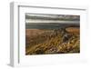 Rock Outcrop Formed of Ordovician Quartzite, Stiperstones Ridge, Stiperstones Nnr, Shropshire, UK-Peter Cairns-Framed Photographic Print