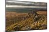 Rock Outcrop Formed of Ordovician Quartzite, Stiperstones Ridge, Stiperstones Nnr, Shropshire, UK-Peter Cairns-Mounted Photographic Print